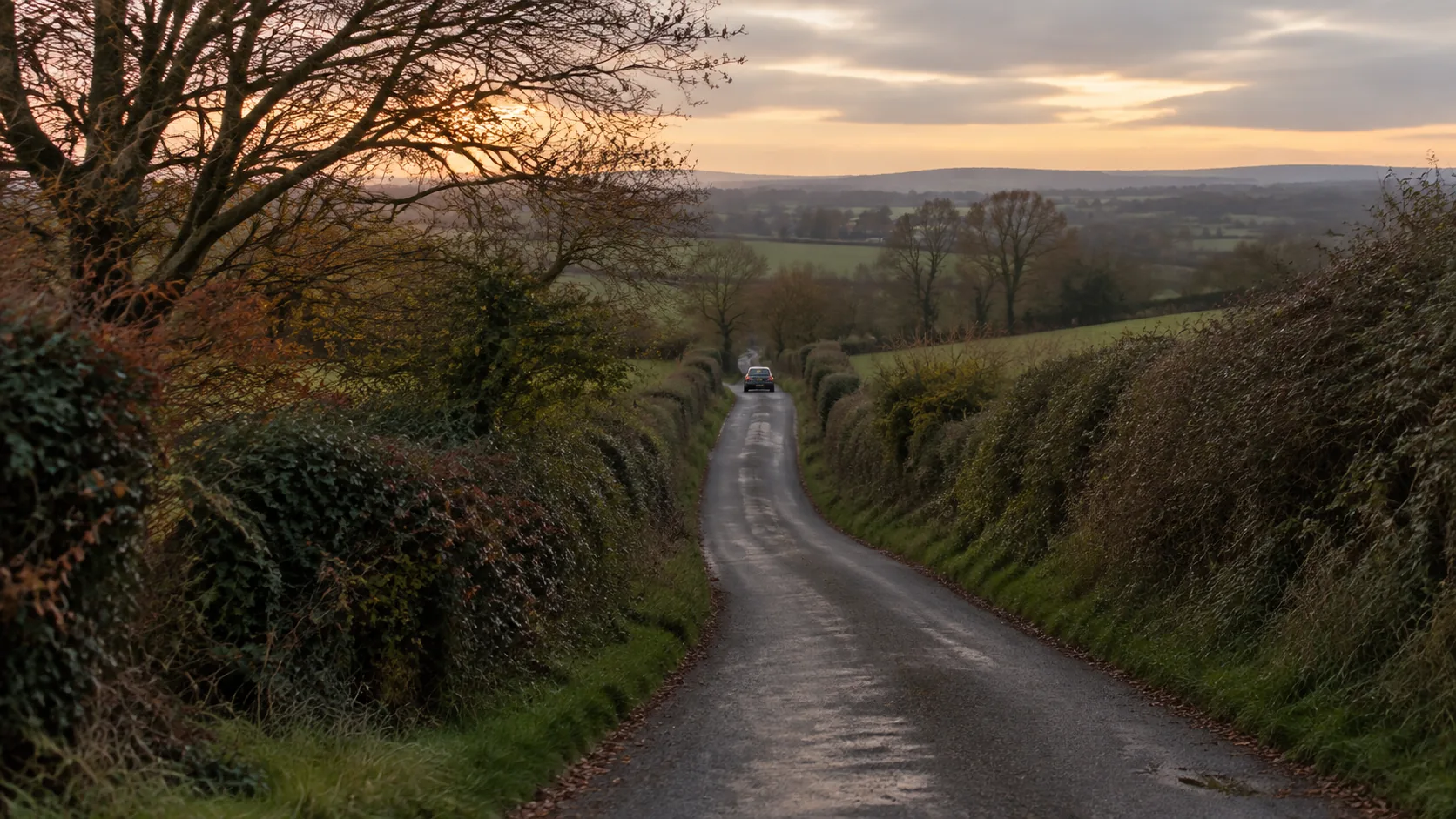 A quiet country lane in late afternoon light